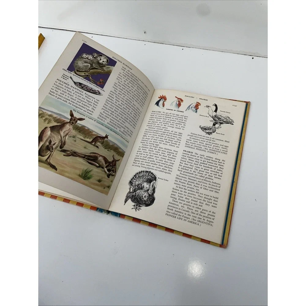 Vintage 1960 The Golden Book Encyclopedia Book 12 Paricutin To Quicksand Book